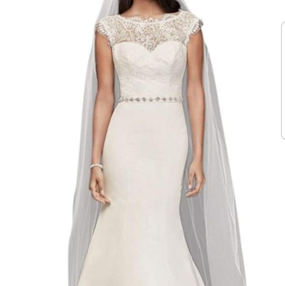 David's Bridal Dresses & Skirts - Wedding Dress